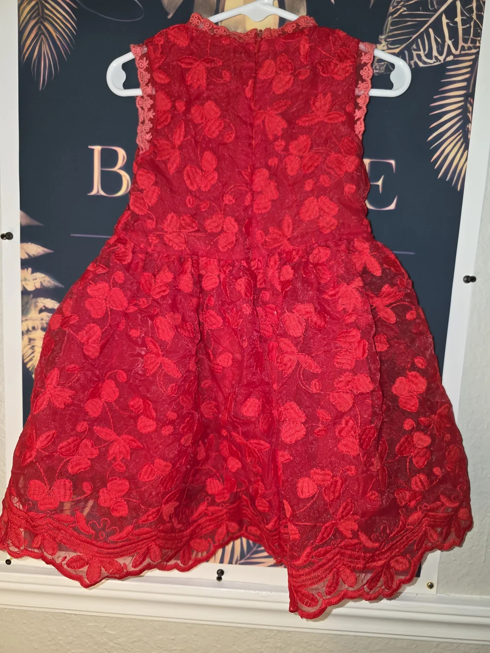 Elegant Red Floral Lace Girls' Party Dress